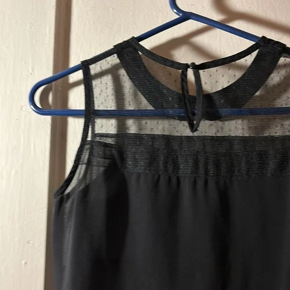 French dot lace Peter Pan collar sheer sleeveless top - Picture 6 of 6